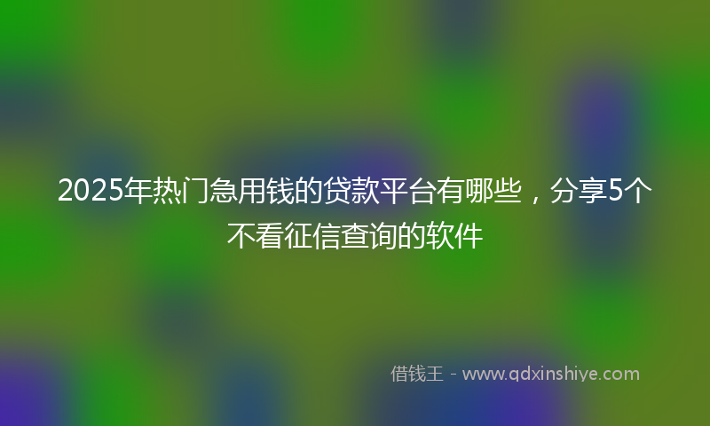 2025年热门急用钱的贷款平台有哪些，分享5个不看征信查询的软件