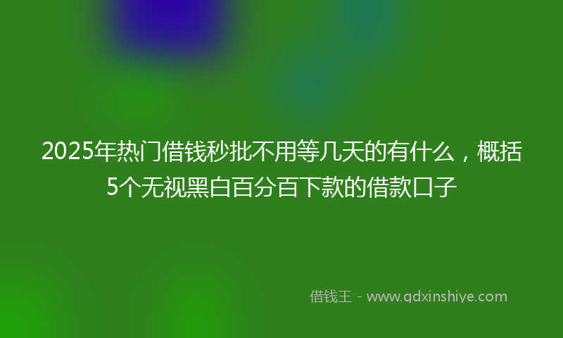 2025年热门借钱秒批不用等几天的有什么，概括5个无视黑白百分百下款的借款口子