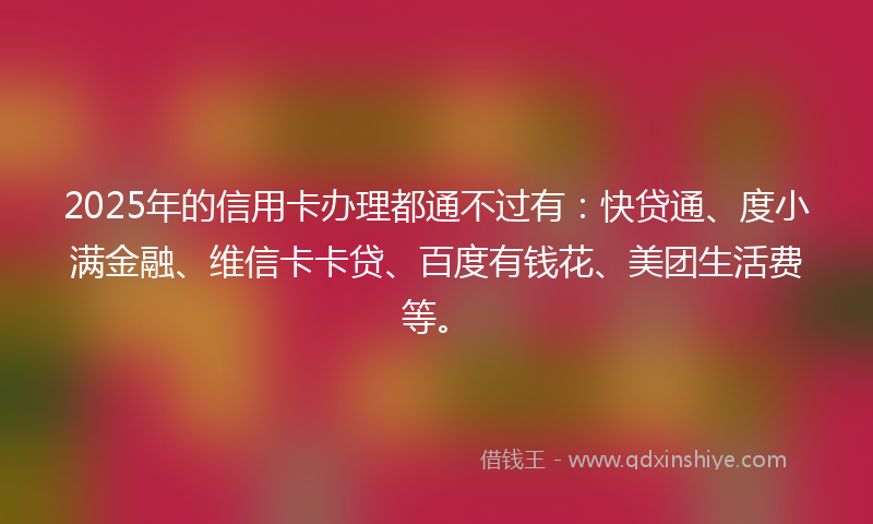 2025年的信用卡办理都通不过有：快贷通、度小满金融、维信卡卡贷、百度有钱花、美团生活费等。