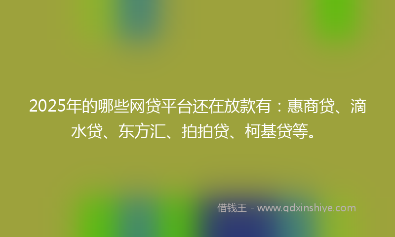2025年的哪些网贷平台还在放款有：惠商贷、滴水贷、东方汇、拍拍贷、柯基贷等。