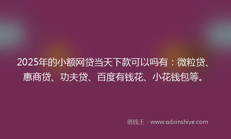 2025年的小额网贷当天下款可以吗有：微粒贷、惠商贷、功夫贷、百度有钱花、小花钱包等。