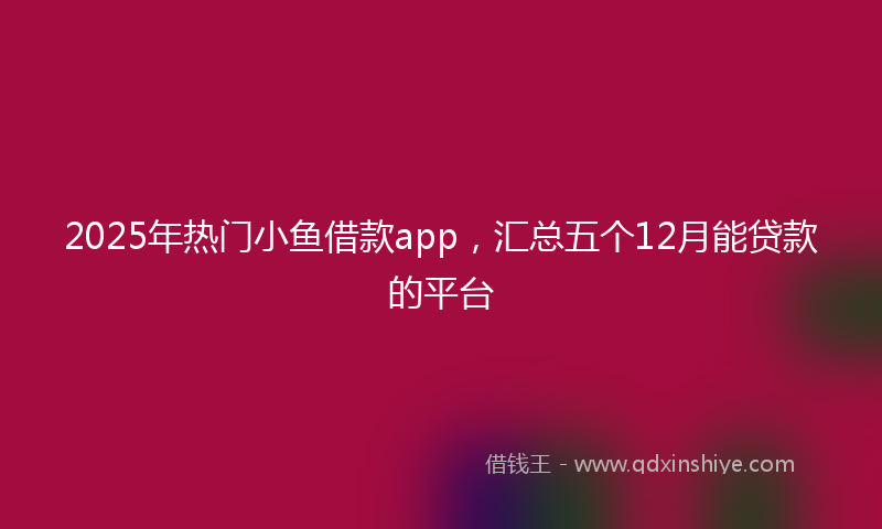2025年热门小鱼借款app，汇总五个12月能贷款的平台