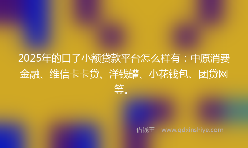2025年的口子小额贷款平台怎么样有：中原消费金融、维信卡卡贷、洋钱罐、小花钱包、团贷网等。