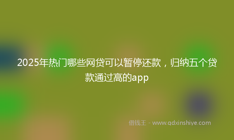 2025年热门哪些网贷可以暂停还款，归纳五个贷款通过高的app