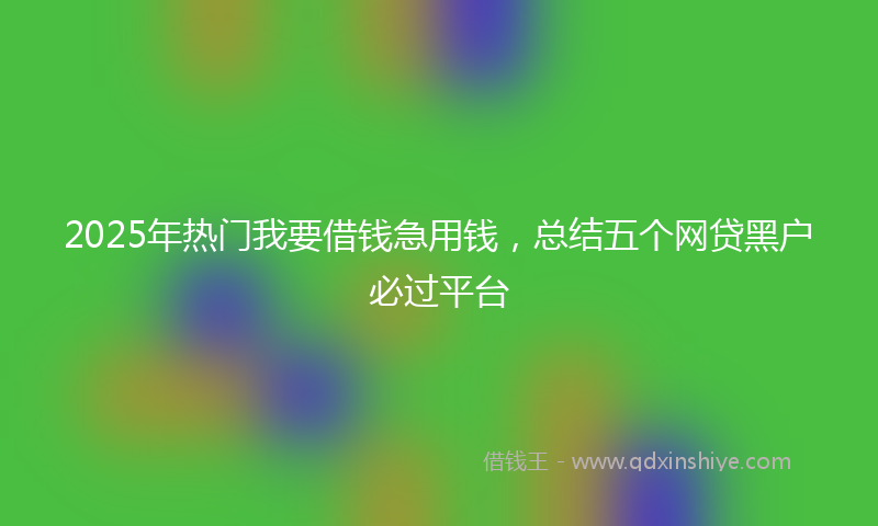 2025年热门我要借钱急用钱，总结五个网贷黑户必过平台