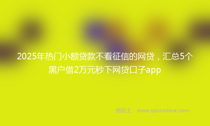 2025年热门小额贷款不看征信的网贷，汇总5个黑户借2万元秒下网贷口子app