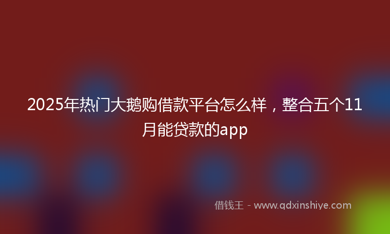 2025年热门大鹅购借款平台怎么样，整合五个11月能贷款的app