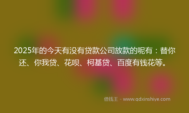 2025年的今天有没有贷款公司放款的呢有：替你还、你我贷、花呗、柯基贷、百度有钱花等。