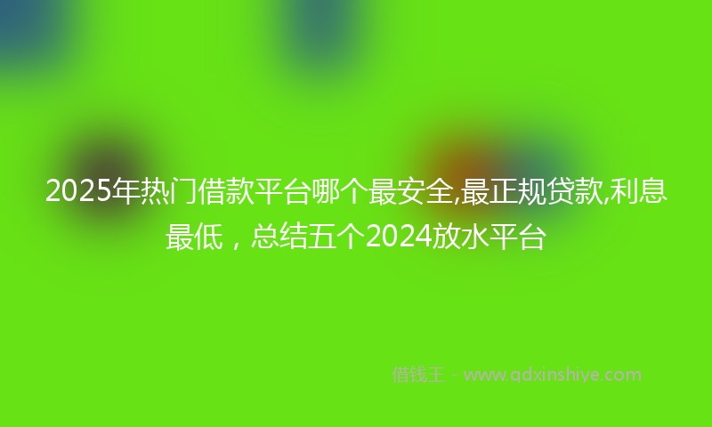 2025年热门借款平台哪个最安全,最正规贷款,利息最低，总结五个2024放水平台