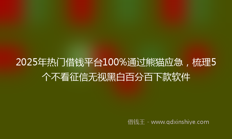 2025年热门借钱平台100%通过熊猫应急，梳理5个不看征信无视黑白百分百下款软件