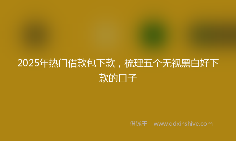 2025年热门借款包下款，梳理五个无视黑白好下款的口子