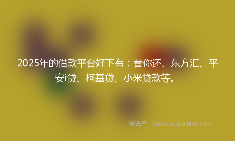2025年的借款平台好下有：替你还、东方汇、平安i贷、柯基贷、小米贷款等。