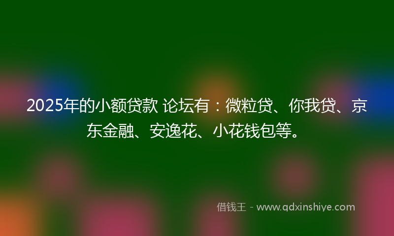 2025年的小额贷款 论坛有：微粒贷、你我贷、京东金融、安逸花、小花钱包等。