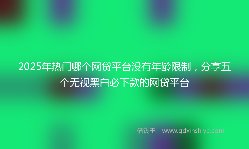 2025年热门哪个网贷平台没有年龄限制，分享五个无视黑白必下款的网贷平台