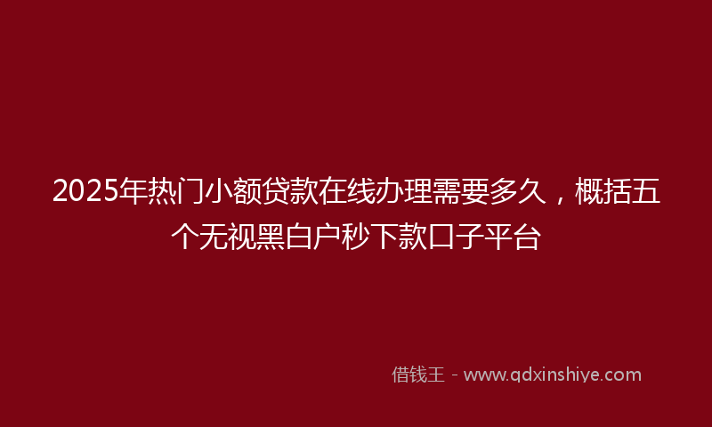 2025年热门小额贷款在线办理需要多久，概括五个无视黑白户秒下款口子平台