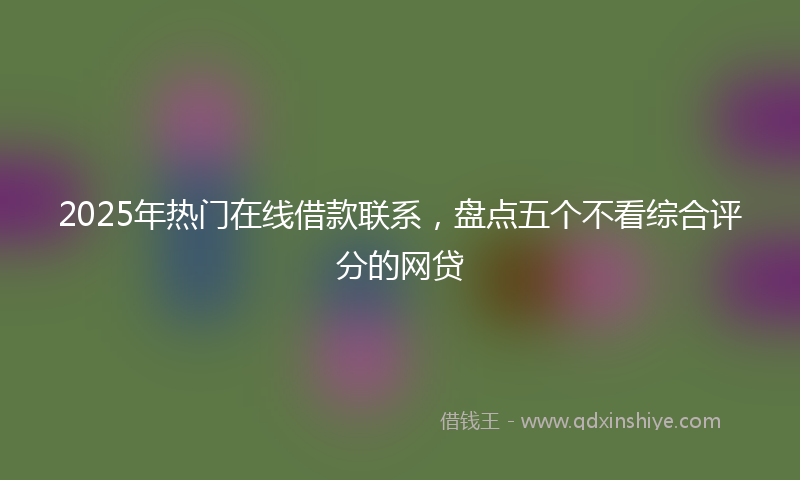 2025年热门在线借款联系，盘点五个不看综合评分的网贷