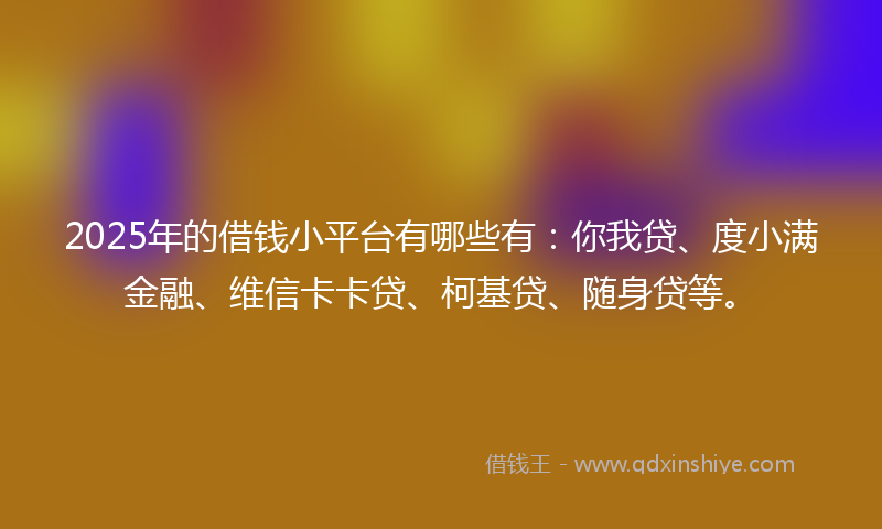2025年的借钱小平台有哪些有：你我贷、度小满金融、维信卡卡贷、柯基贷、随身贷等。