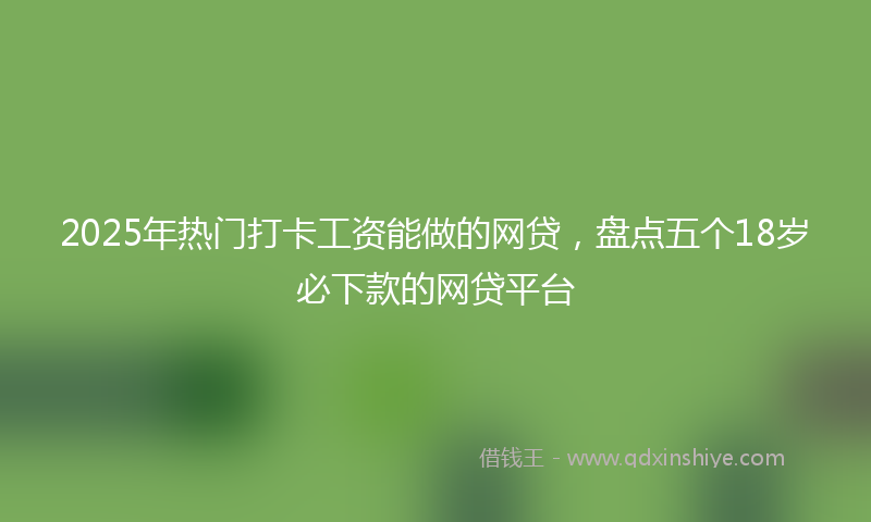 2025年热门打卡工资能做的网贷，盘点五个18岁必下款的网贷平台
