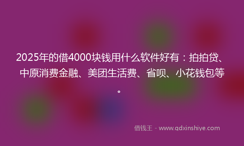 2025年的借4000块钱用什么软件好有：拍拍贷、中原消费金融、美团生活费、省呗、小花钱包等。