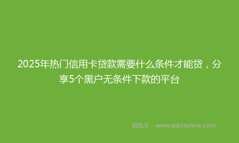 2025年热门信用卡贷款需要什么条件才能贷，分享5个黑户无条件下款的平台