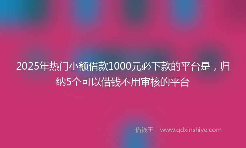 2025年热门小额借款1000元必下款的平台是，归纳5个可以借钱不用审核的平台