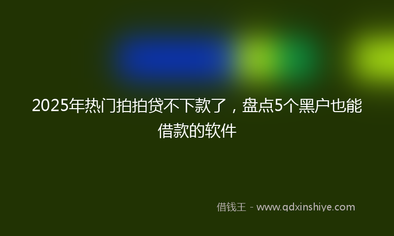 2025年热门拍拍贷不下款了，盘点5个黑户也能借款的软件
