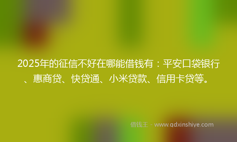 2025年的征信不好在哪能借钱有：平安口袋银行、惠商贷、快贷通、小米贷款、信用卡贷等。
