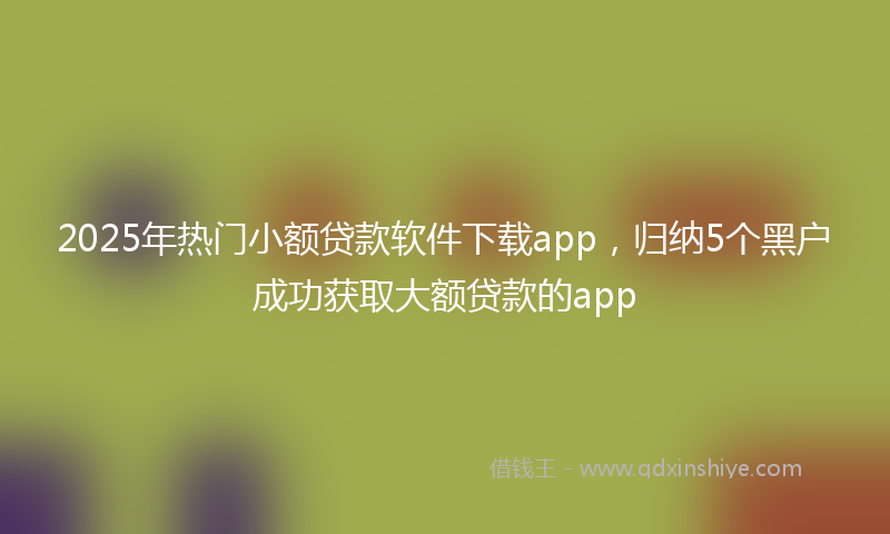 2025年热门小额贷款软件下载app，归纳5个黑户成功获取大额贷款的app