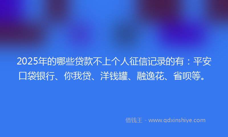 2025年的哪些贷款不上个人征信记录的有：平安口袋银行、你我贷、洋钱罐、融逸花、省呗等。