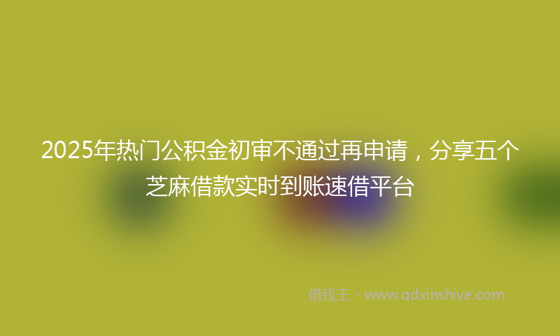 2025年热门公积金初审不通过再申请，分享五个芝麻借款实时到账速借平台