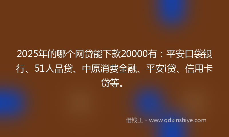 2025年的哪个网贷能下款20000有：平安口袋银行、51人品贷、中原消费金融、平安i贷、信用卡贷等。