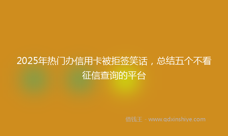 2025年热门办信用卡被拒签笑话，总结五个不看征信查询的平台