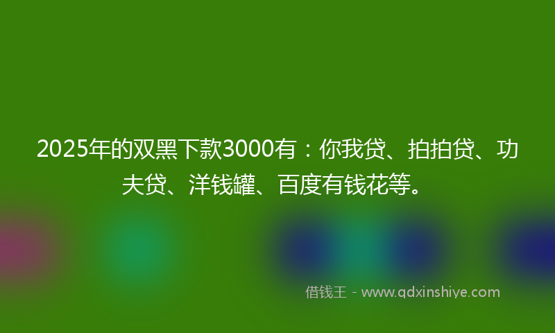 2025年的双黑下款3000有：你我贷、拍拍贷、功夫贷、洋钱罐、百度有钱花等。
