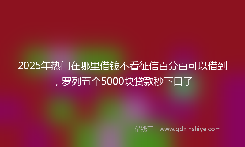 2025年热门在哪里借钱不看征信百分百可以借到，罗列五个5000块贷款秒下口子
