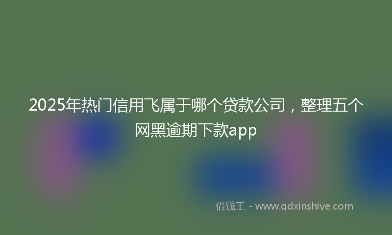 2025年热门信用飞属于哪个贷款公司，整理五个网黑逾期下款app