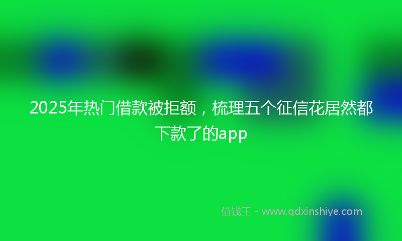 2025年热门借款被拒额，梳理五个征信花居然都下款了的app