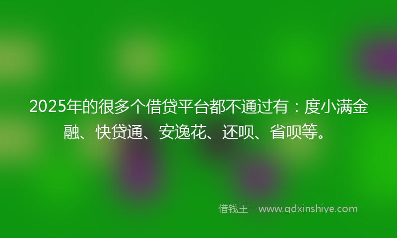 2025年的很多个借贷平台都不通过有：度小满金融、快贷通、安逸花、还呗、省呗等。