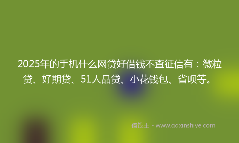 2025年的手机什么网贷好借钱不查征信有：微粒贷、好期贷、51人品贷、小花钱包、省呗等。