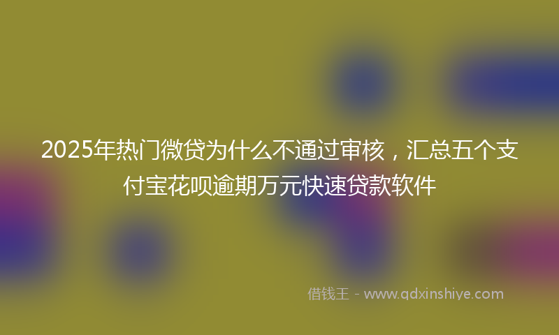 2025年热门微贷为什么不通过审核，汇总五个支付宝花呗逾期万元快速贷款软件