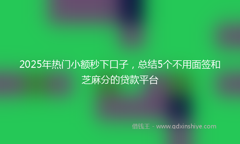 2025年热门小额秒下口子，总结5个不用面签和芝麻分的贷款平台