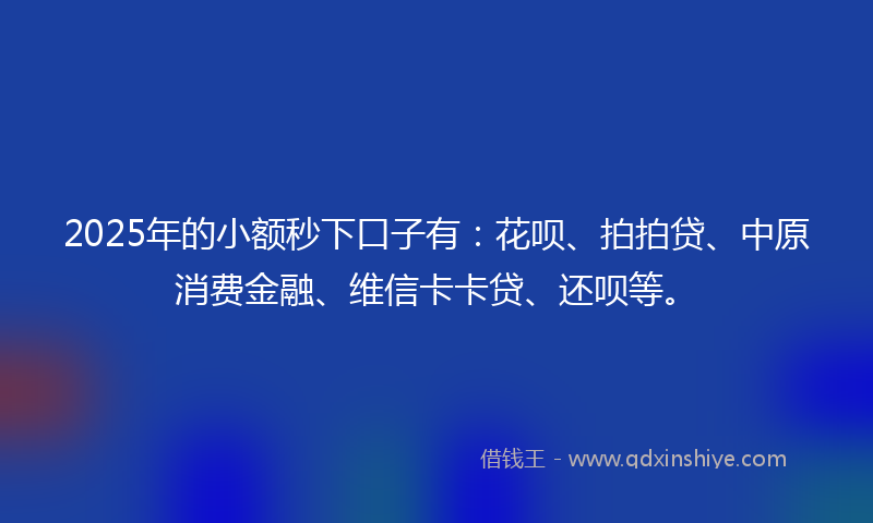 2025年的小额秒下口子有：花呗、拍拍贷、中原消费金融、维信卡卡贷、还呗等。
