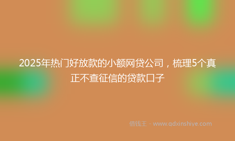 2025年热门好放款的小额网贷公司，梳理5个真正不查征信的贷款口子