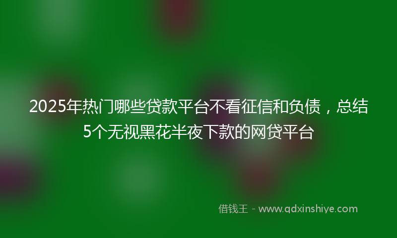 2025年热门哪些贷款平台不看征信和负债，总结5个无视黑花半夜下款的网贷平台
