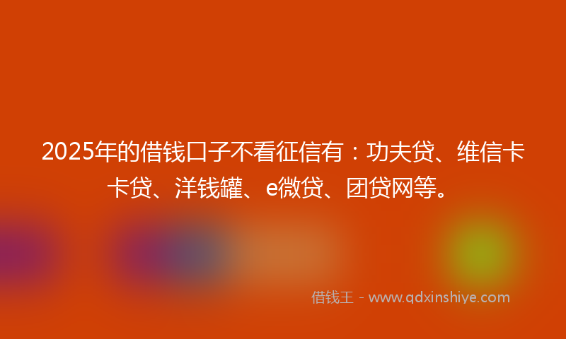 2025年的借钱口子不看征信有：功夫贷、维信卡卡贷、洋钱罐、e微贷、团贷网等。