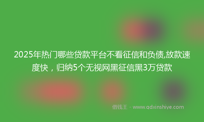 2025年热门哪些贷款平台不看征信和负债,放款速度快，归纳5个无视网黑征信黑3万贷款
