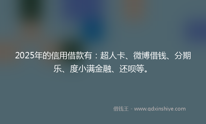 2025年的信用借款有：超人卡、微博借钱、分期乐、度小满金融、还呗等。