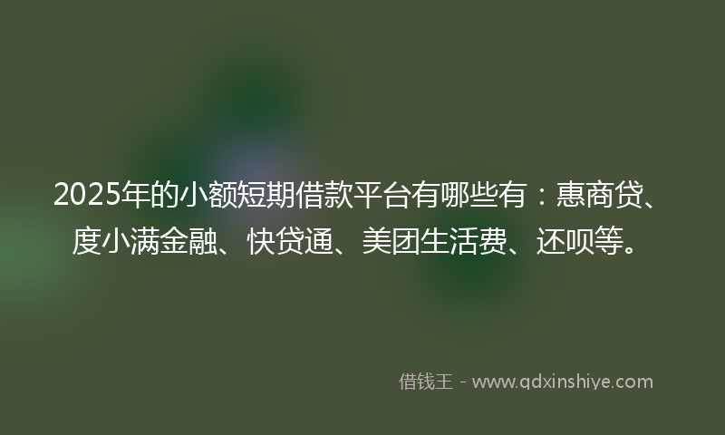 2025年的小额短期借款平台有哪些有：惠商贷、度小满金融、快贷通、美团生活费、还呗等。