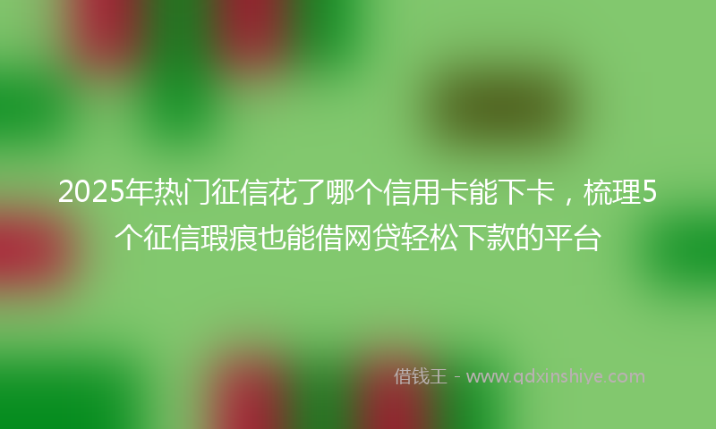 2025年热门征信花了哪个信用卡能下卡，梳理5个征信瑕疵也能借网贷轻松下款的平台