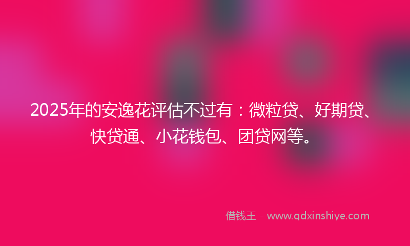 2025年的安逸花评估不过有：微粒贷、好期贷、快贷通、小花钱包、团贷网等。