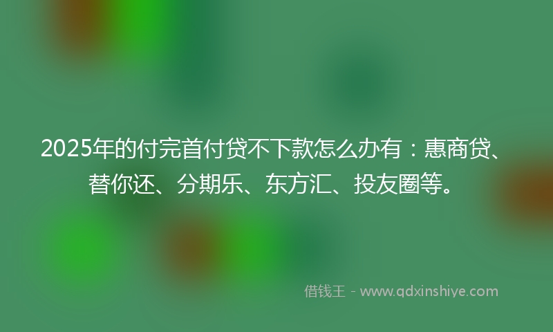 2025年的付完首付贷不下款怎么办有：惠商贷、替你还、分期乐、东方汇、投友圈等。